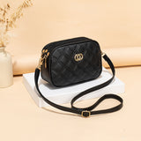 Lilideco High-quality textured bags 2024ladies bags foreign trade wholesale ladies bags embroidered fashionable large-capacity women's bags